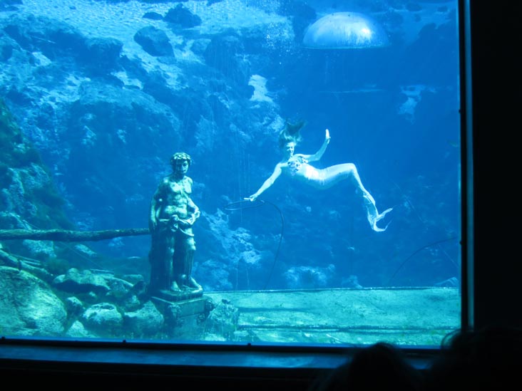 Fish Tails Mermaid Show, Weeki Wachee Springs State Park, Weeki Wachee, Florida, November 5, 2013