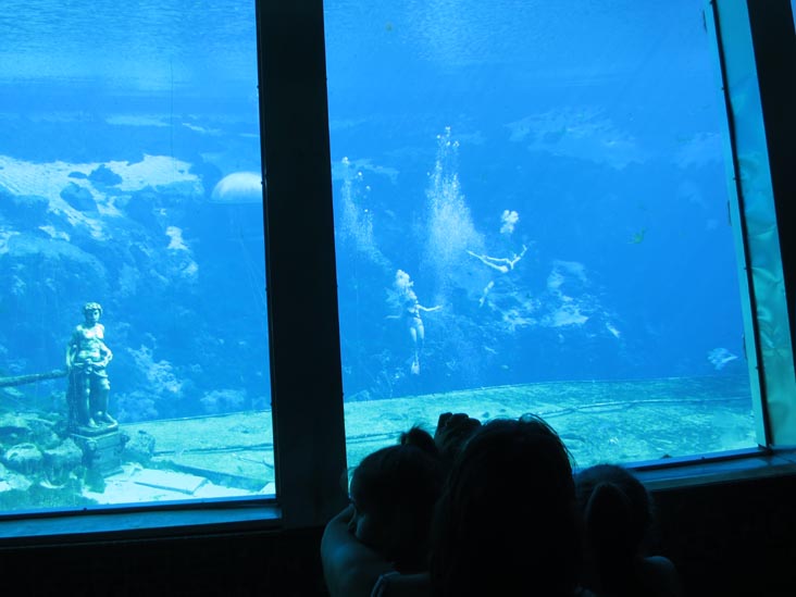 Fish Tails Mermaid Show, Weeki Wachee Springs State Park, Weeki Wachee, Florida, November 5, 2013