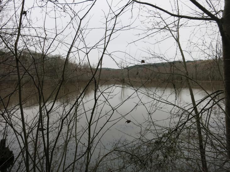 Constitution Lakes Park, Atlanta, Georgia, February 22, 2019