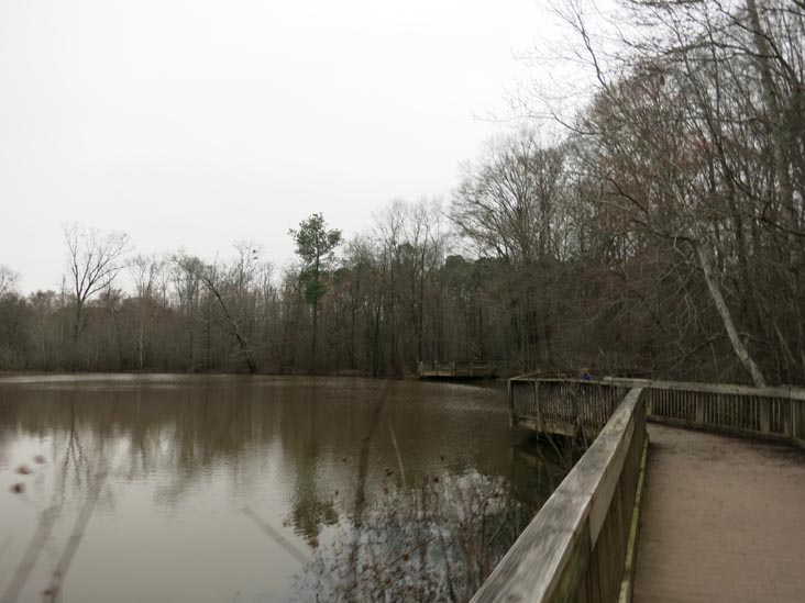 Constitution Lakes Park, Atlanta, Georgia, February 22, 2019