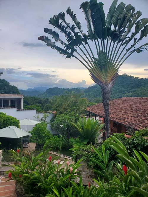 La Casa de Café, Copán Ruinas, Honduras, August 11, 2024