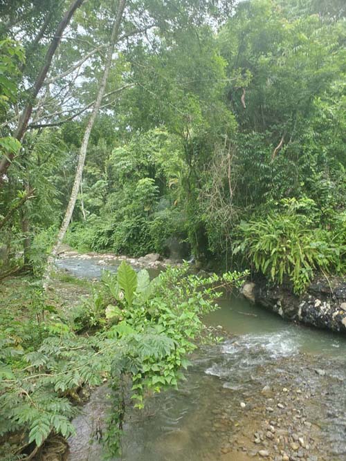 Luna Jaguar Spa Hot Springs, Agua Caliente, Honduras, August 12, 2024