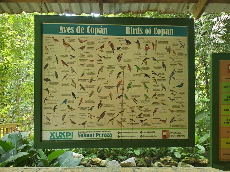 Birds of Copán Interpretive Sign, Macaw Mountain, Copán Ruinas, Honduras, August 12, 2024