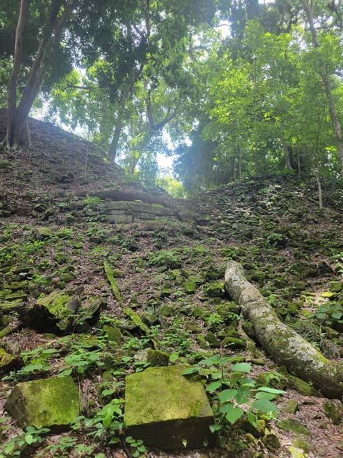 Unexcavated Structure, Copán, Copán Ruinas, Honduras, August 12, 2024