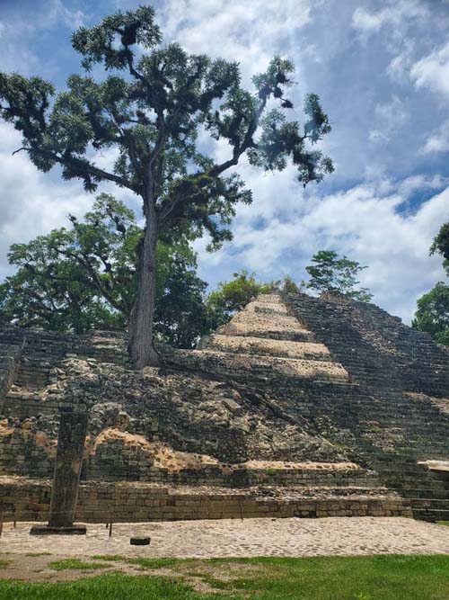 Stele P, Temple 16, West Court, Copán, Copán Ruinas, Honduras, August 12, 2024