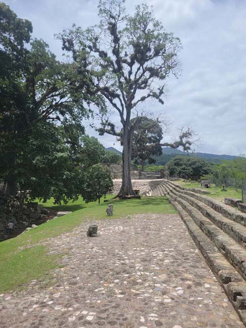 East Court, Copán, Copán Ruinas, Honduras, August 12, 2024