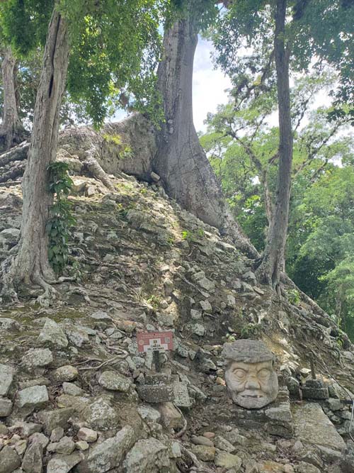 Old Man Head, Copán, Copán Ruinas, Honduras, August 12, 2024