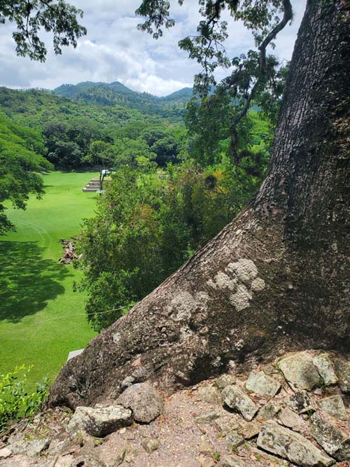 View From Acropolis, Copán, Copán Ruinas, Honduras, August 12, 2024