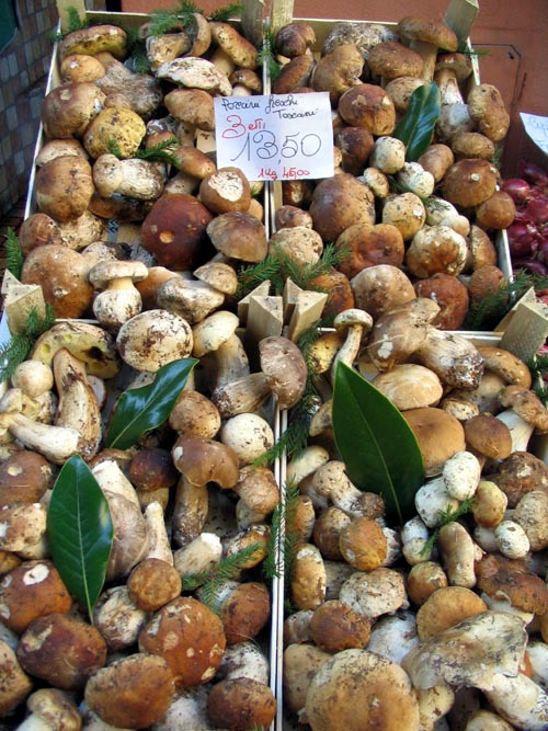 Porcini Mushrooms, Produce Market, Via Drapperie and Via dei Orefici, SW Corner, Bologna, Emilia-Romagna, Italy