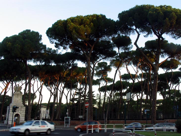 Viale San Paolo del Brasile, Villa Borghese, Rome, Lazio, Italy