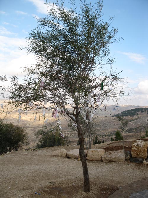 Mount Nebo, Jordan