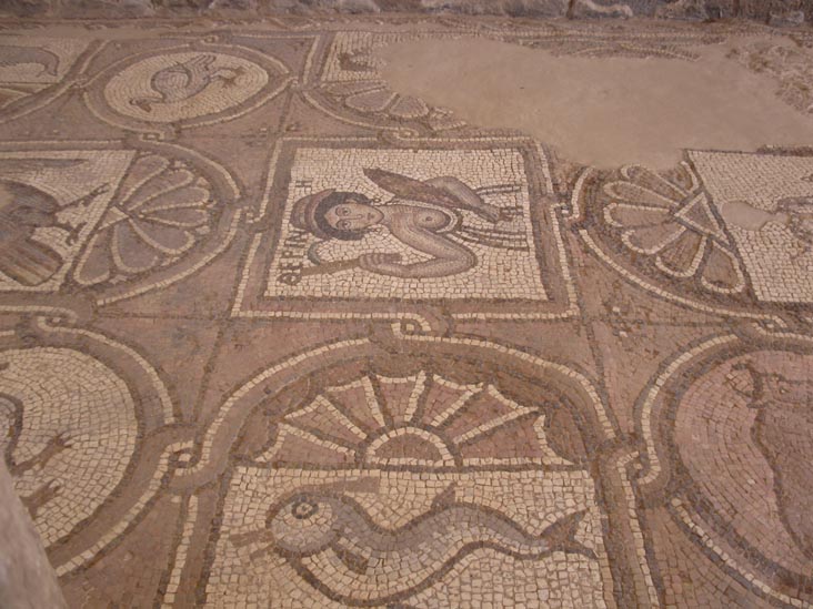 Mosaic, Byzantine Church, Petra, Wadi Musa, Jordan