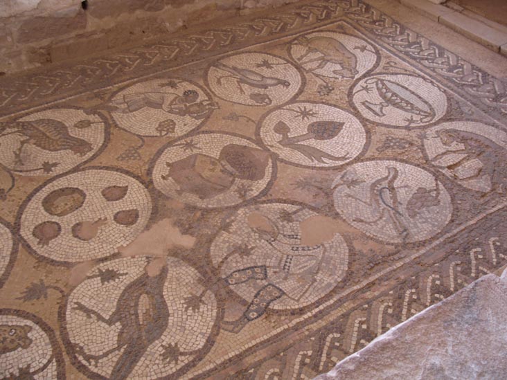 Mosaic, Byzantine Church, Petra, Wadi Musa, Jordan