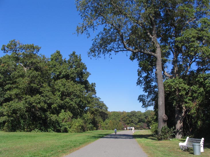 Main Drive, Caumsett State Historic Park, Lloyd Neck, Long Island, New York