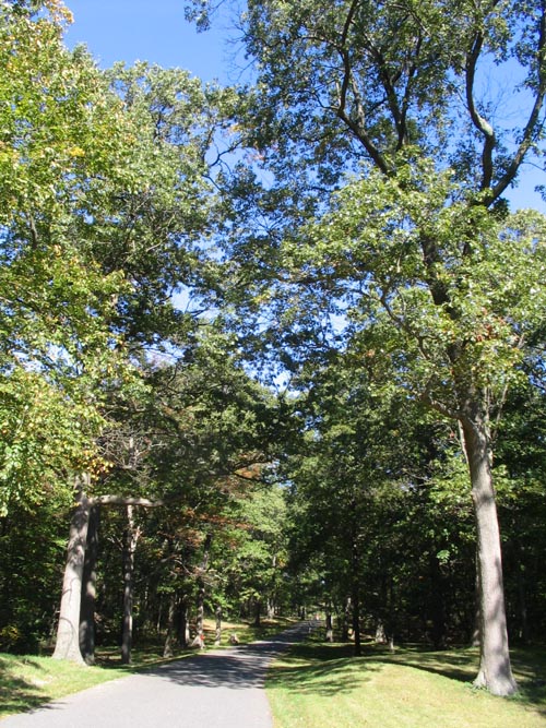 Main Drive, Caumsett State Historic Park, Lloyd Neck, Long Island, New York