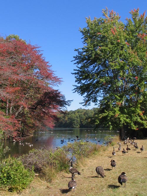 Fresh Water Pond, Caumsett State Historic Park, Lloyd Neck, Long Island, New York