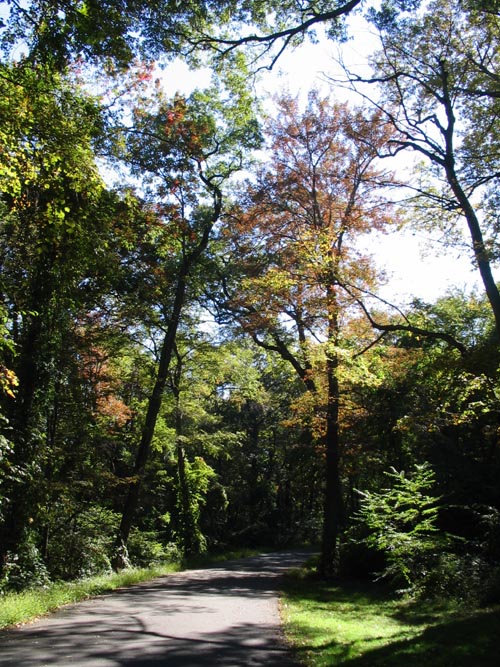 Caumsett State Historic Park, Lloyd Neck, Long Island, New York