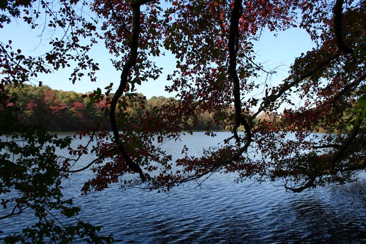 Fresh Water Pond, Caumsett State Historic Park, Lloyd Neck, Long Island, New York