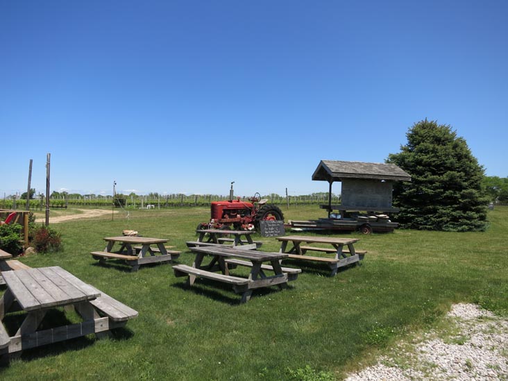 One Woman Wines & Vineyards, 5195 Old North Road, Southold, New York, May 29, 2015