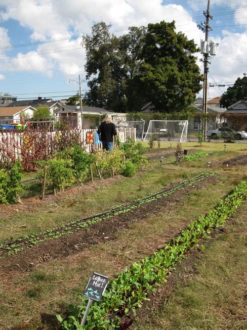 Edible Schoolyard, Samuel J. Green Charter School, 2319 Valence Street, New Orleans, Louisiana