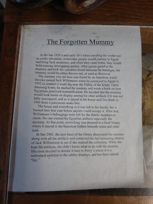 The Forgotten Mummy, Perry's Nut House, 45 Searsport Avenue, Belfast, Maine, July 2, 2013