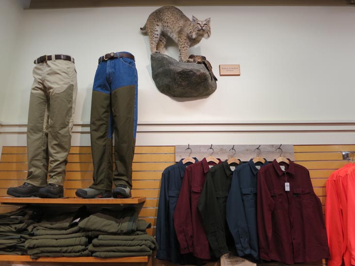 Bobcat and Clothes, L.L. Bean Flagship Store, 95 Main Street, Freeport, Maine, July 6, 2013