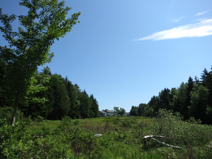 View Toward Jordan Pond House, Acadia National Park, Mount Desert Island, Maine, July 3, 2013