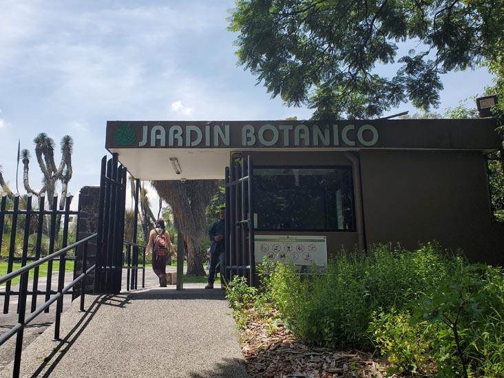 Jardín Botánico del IB-UNAM, Ciudad Universitaria, Mexico City/Ciudad de México, Mexico, September 4, 2023