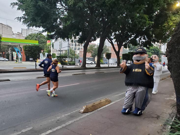 Mexico City Marathon, Maratón de la Ciudad de México, Avenida Insurgentes Sur at Calle Aguascalientes, Mexico City, Mexico, August 27, 2023