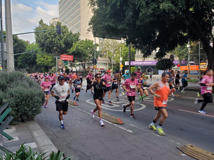 Mexico City Marathon, Maratón de la Ciudad de México, Avenida Insurgentes Sur at Calle Aguascalientes, Mexico City, Mexico, August 27, 2023
