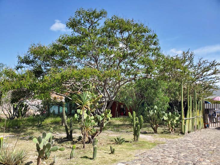 Mitla, San Pablo Villa de Mitla, Oaxaca, México, August 20, 2023