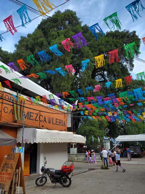 Santa María del Tule, Oaxaca, México, August 20, 2023