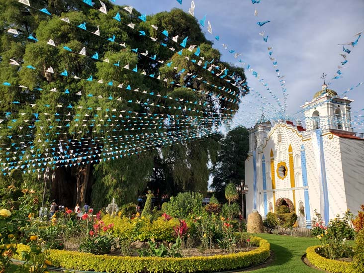 Árbol del Tule, El Templo de Santa María de la Asunción, Santa María del Tule, Oaxaca, México, August 20, 2023