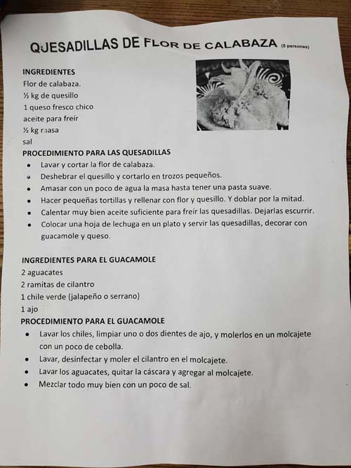 Quesadillas de Flor de Calabaza Recipe, Instituto Cultural Oaxaca, Oaxaca, México, August 16, 2023