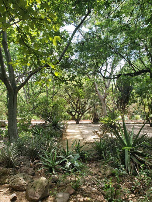 Jardín Etnobotánico de Oaxaca, Oaxaca, México, August 19, 2023