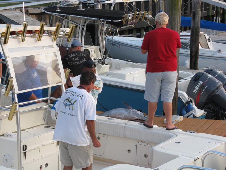 Filleting Tuna, Pine Road, Ocean City, New Jersey, July 25, 2009