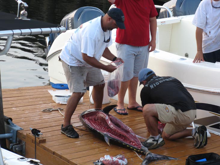 Filleting Tuna, Pine Road, Ocean City, New Jersey, July 25, 2009