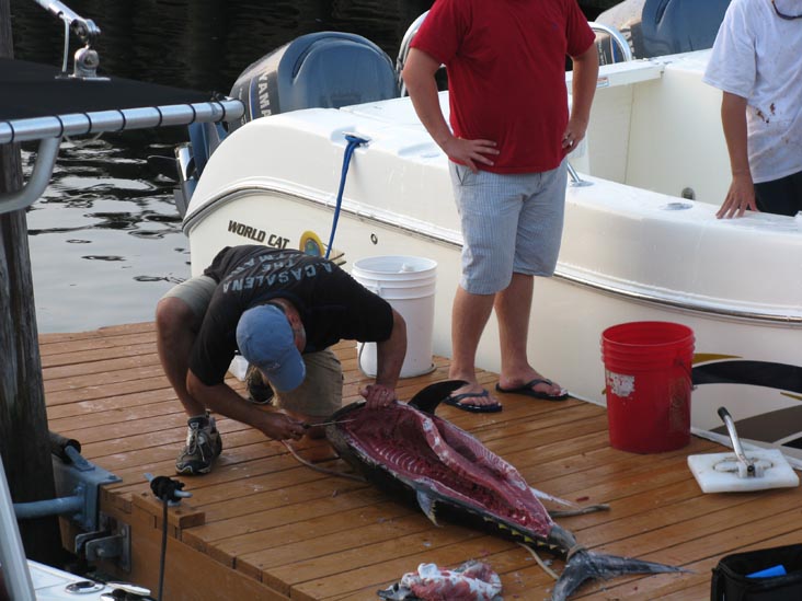 Filleting Tuna, Pine Road, Ocean City, New Jersey, July 25, 2009