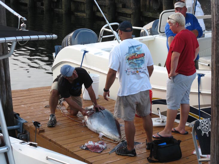 Filleting Tuna, Pine Road, Ocean City, New Jersey, July 25, 2009