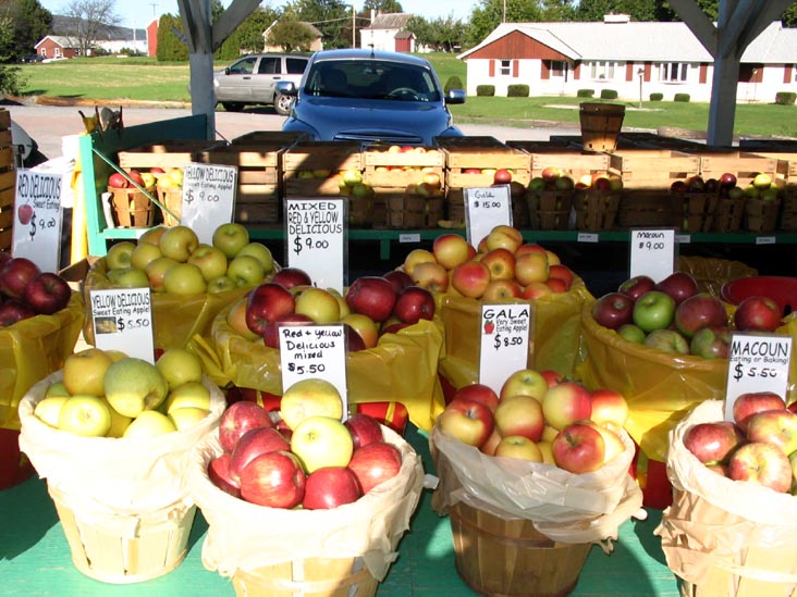 Stoudt's Fruit Stand, Old Route 22, Shartlesville, Pennsylvania