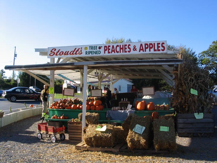 best fruit stand near me