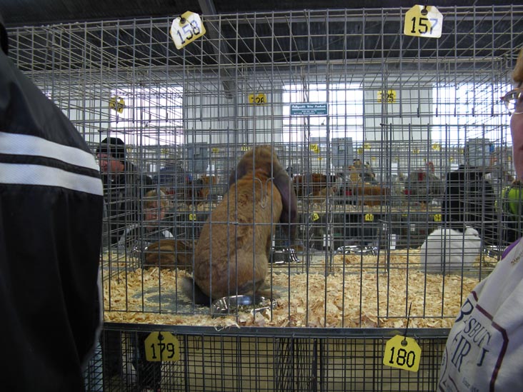 Poultry & Rabbit Exhibit Building, Bloomsburg Fair, Bloomsburg, Pennsylvania, September 26, 2009