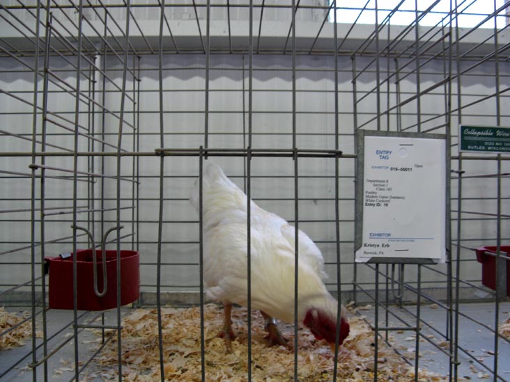 Poultry & Rabbit Exhibit Building, Bloomsburg Fair, Bloomsburg, Pennsylvania, September 26, 2009