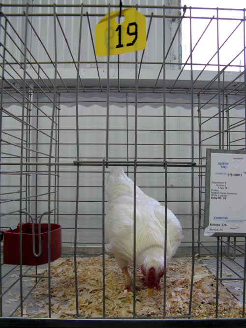 Poultry & Rabbit Exhibit Building, Bloomsburg Fair, Bloomsburg, Pennsylvania, September 26, 2009