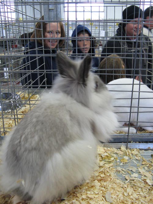 Poultry & Rabbit Exhibit Building, Bloomsburg Fair, Bloomsburg, Pennsylvania, September 26, 2009