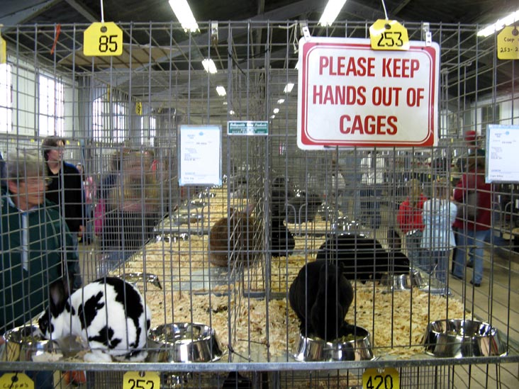 Poultry & Rabbit Exhibit Building, Bloomsburg Fair, Bloomsburg, Pennsylvania, September 26, 2009