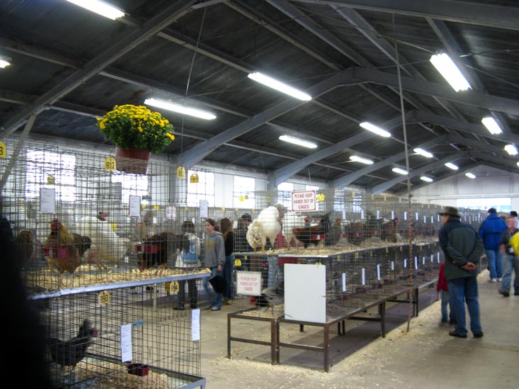 Poultry & Rabbit Exhibit Building, Bloomsburg Fair, Bloomsburg, Pennsylvania, September 26, 2009