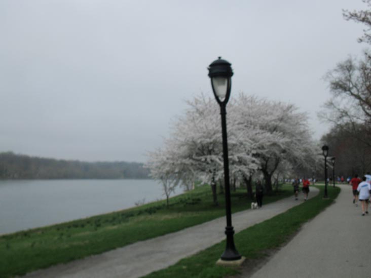 Schuylkill River, City 6 5K Charity Run, Kelly Drive, Fairmount Park, Philadelphia, Pennsylvania, April 3, 2010