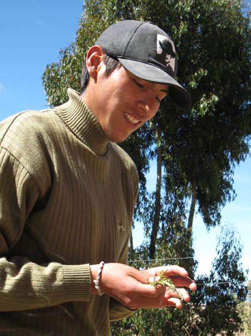 Soap Plant Demonstration, Marcahuasi, Taquile Island/Isla Taquile, Lake Titicaca/Lago Titicaca, Peru