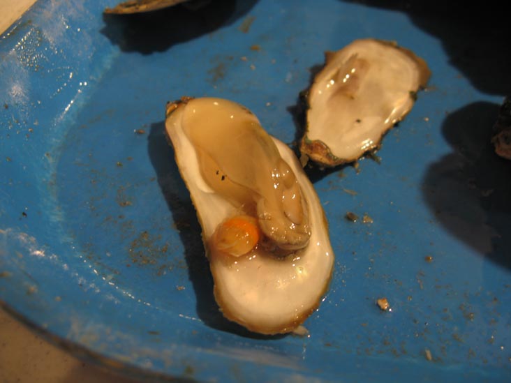 Crab in Steamed Oyster, Bowens Island Restaurant, 1870 Bowens Island Road, Charleston, South Carolina